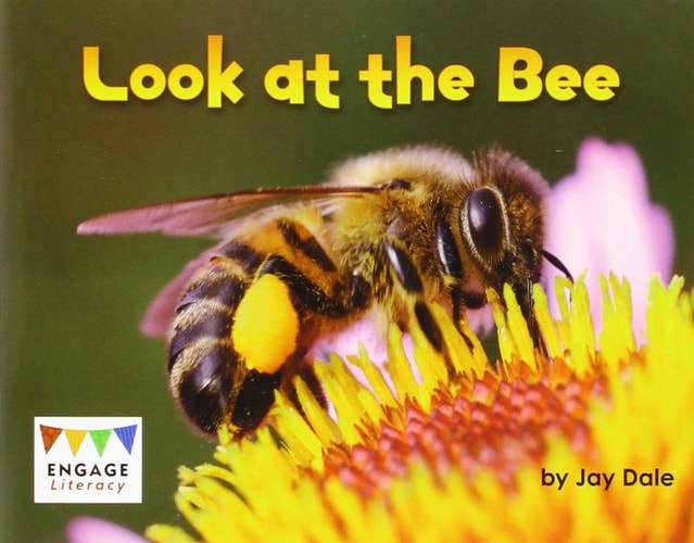 Look at the Bee by Jay Dale