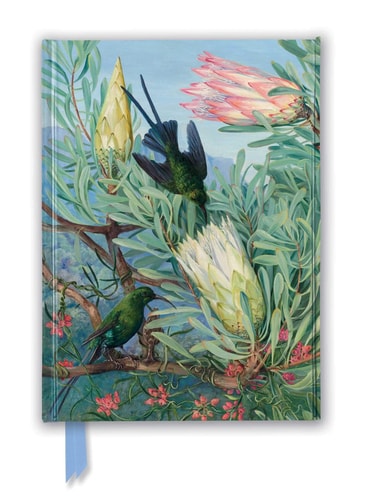 Kew Gardens' Marianne North: Honeyflowers and Honeysuckers (Foiled Journal) by Flame Tree Studio