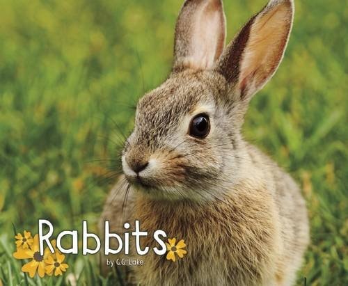 Rabbits (Pebble Plus: Woodland Wildlife) by G G Lake