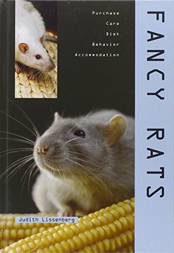 Fancy Rats by d-j-lissenberg