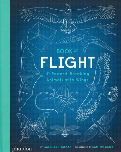 Book of flight: 10 record-breaking animals with wings by Balkan, Gabrielle