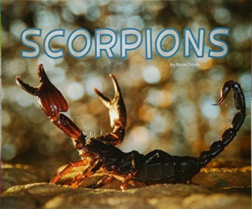Scorpions by Rose Davin
