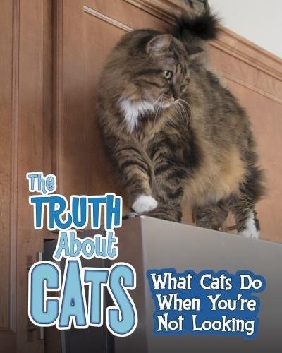 The Truth about Cats What Cats Do When You're Not Looking by Mary Colson