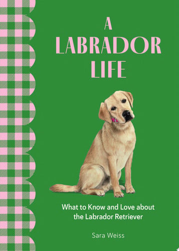 A labrador life: what to know and love about the labrador retriever by Weiss, Sara (Writing consultant)