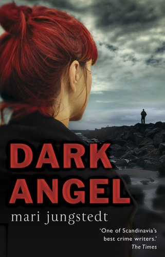 Dark Angel by Mari Jungstedt