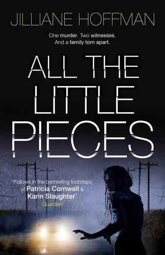 All the Little Pieces by Hoffman Jilliane