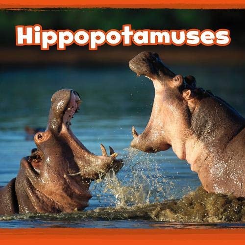 Hippopotamuses by Kathryn Clay