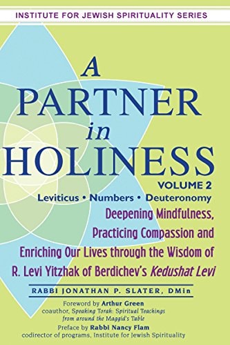 A Partner in Holiness: Deepening Mindfulness, Practicing Compassion and Enriching Our Lives Through the Wisdom of R. Levi Yitzhak of Berdichev's, Vol. 2 (Institute for Jewish Spirituality) by Rabbi Jonathan P. Slater DMin