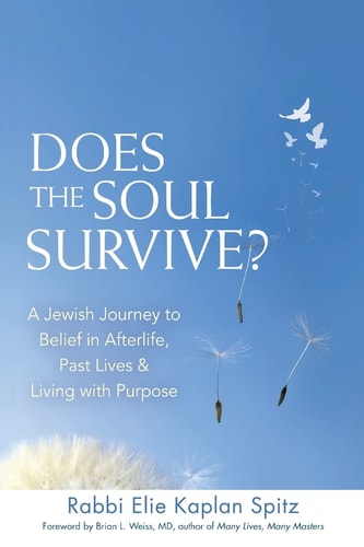 Does the Soul Survive? (2nd Edition): A Jewish Journey to Belief in Afterlife, Past Lives & Living with Purpose by Rabbi Elie Kaplan Spitz