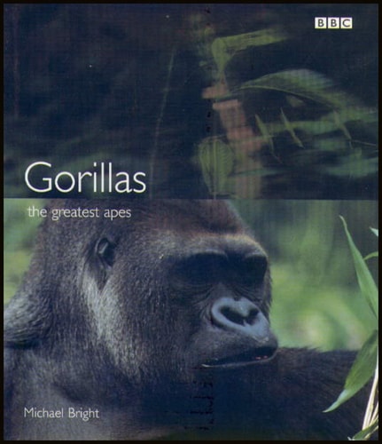 Gorillas The Greatest Apes by Michael Bright