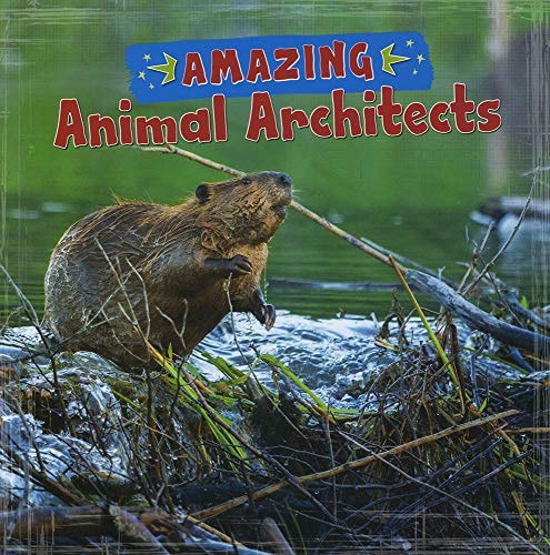 Amazing Animal Architects by Rebecca Rissman, Yvonne Pearson, Mari C. Schuh