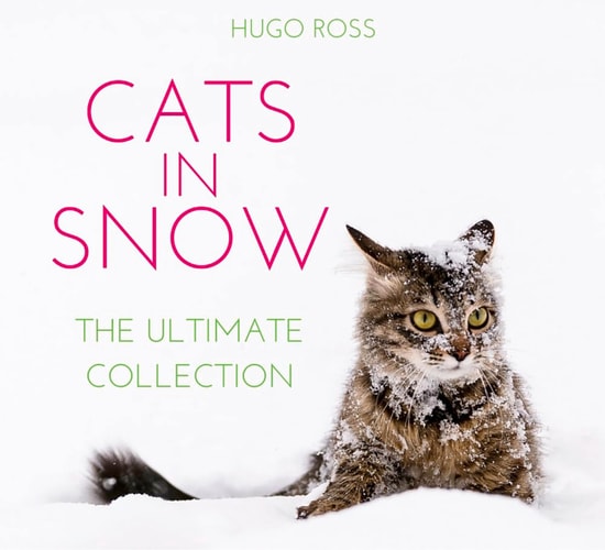 Cats in Snow: The Ultimate Collection by Hugo Ross