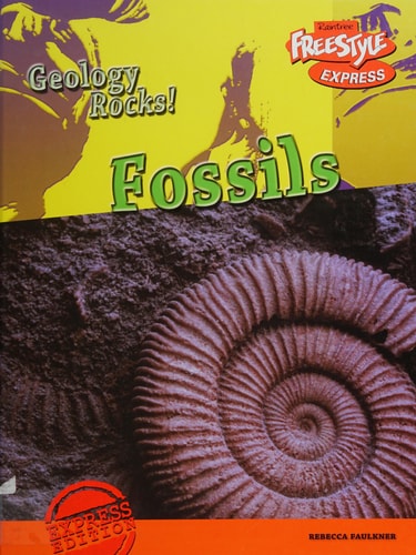 Fossils by Rebecca Faulkner