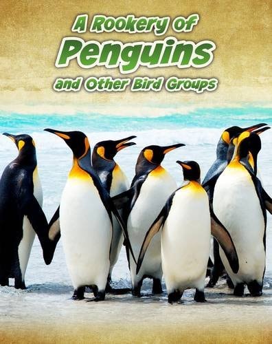 A Rookery of Penguins and Other Bird Groups by Jilly Hunt