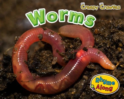 Worms by Siân Smith