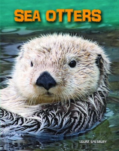 Sea Otters by Louise Spilsbury