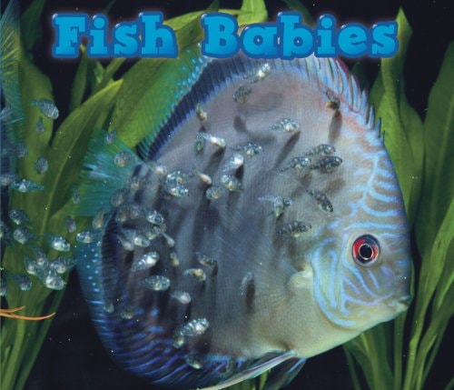 Fish Babies by Catherine Veitch
