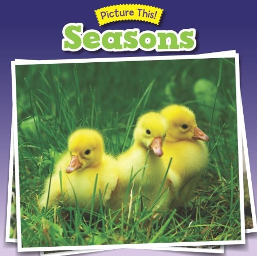 Seasons (Picture This!) by Rebecca Rissman