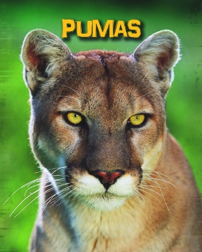 Pumas (Living in the Wild. Big Cats) by Charlotte Guillain
