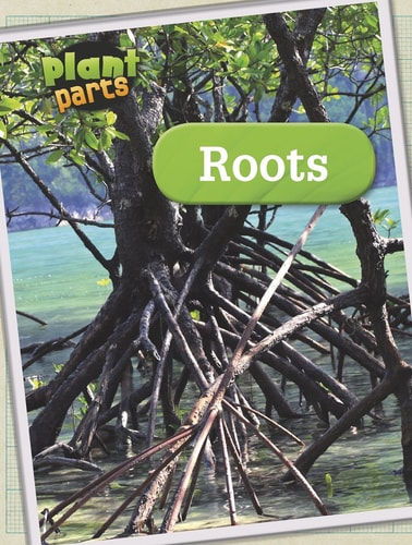 Roots (Raintree Perspectives: Plant Parts) by Melanie Waldron