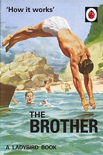 The brother by Hazeley, Jason, Morris, Joel (Comedy writer)