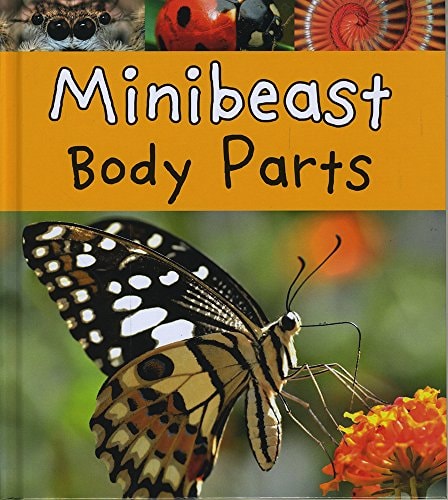 Minibeast Body Parts by Clare Lewis