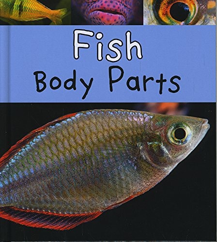 Fish Body Parts by Clare Lewis