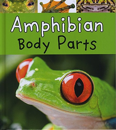 Amphibian Body Parts by Clare Lewis