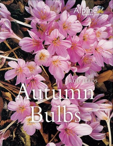 Autumn Bulbs by Rod Leeds