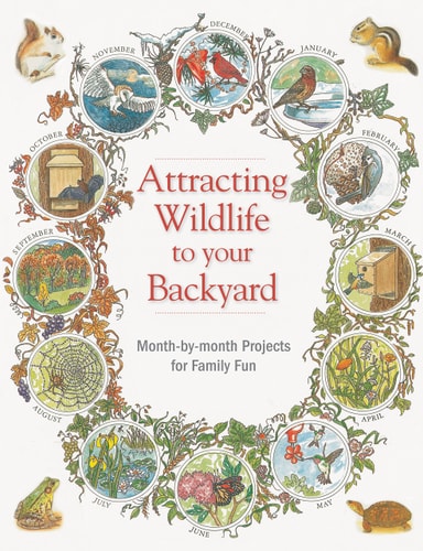 Attracting Wildlife: Projects, activities & tips for luring birds, bees, bullfrogs and other interesting creatures into your backyard (Backyard Birding) by Marcus Schneck