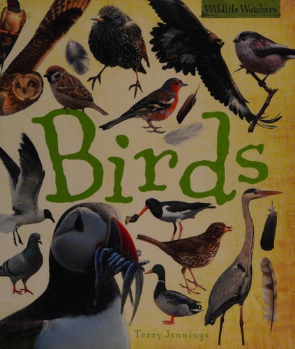 Birds by jennings-terry