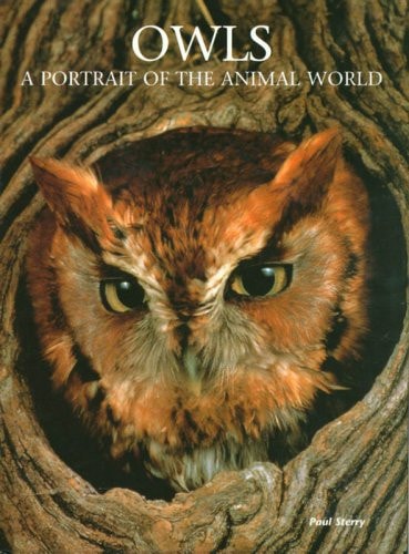 Owls: A Portrait of the Animal World by Paul Sterry
