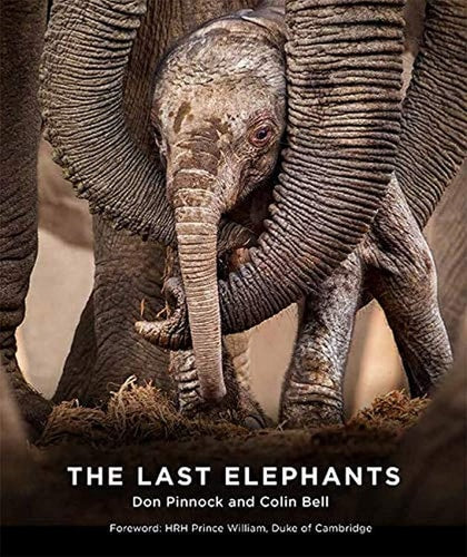 The Last Elephants by Colin Bell