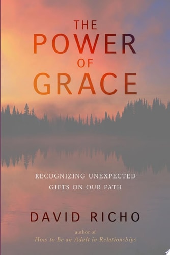 The Power of Grace Recognizing Unexpected Gifts on Our Path by David Richo