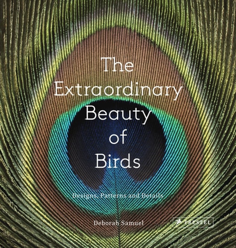 The Extraordinary Beauty of Birds: Designs, Patterns and Details by Deborah Samuel