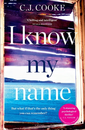 I Know My Name by C. J. Cook