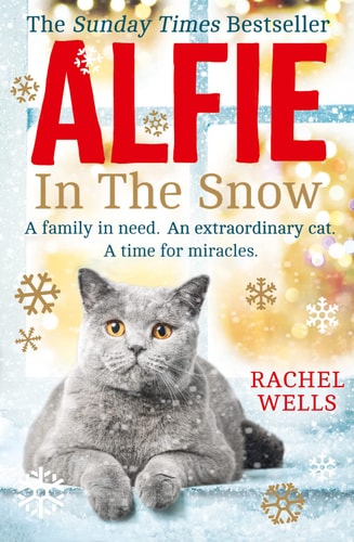 Alfie in the Snow (Alfie Series, Book 5) by Rachel Wells