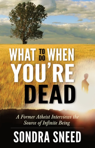 What to Do When You're Dead: A Former Atheist Interviews the Source of Infinite Being by Sondra Sneed