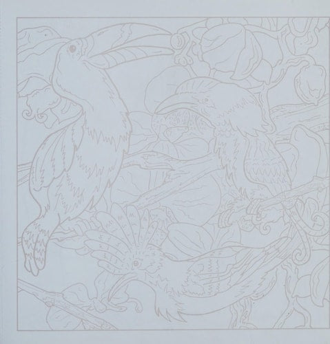 Nature and Wildlife by unknown author