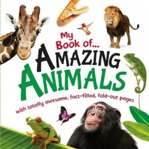 Big Animals (Giant Fold-out Board Book) by unknown author
