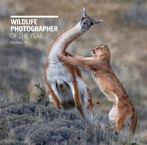 Wildlife Photographer of the Year: Portfolio 29 by Rosamund Kidman Cox