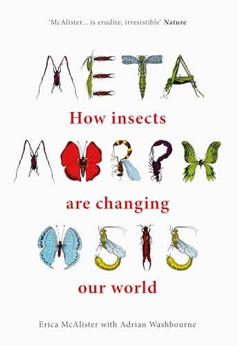 Metamorphosis: how insects are changing our world by McAlister, Erica, Washbourne, Adrian