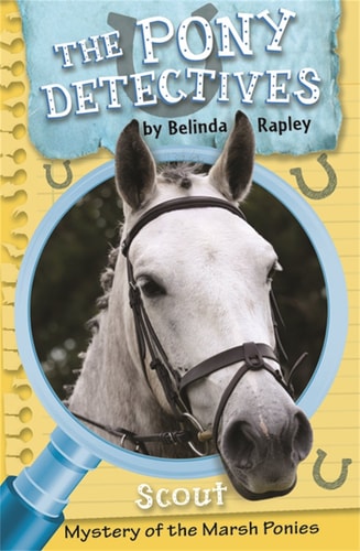 Scout and the Mystery of the Marsh Ponies by Belinda Rapley