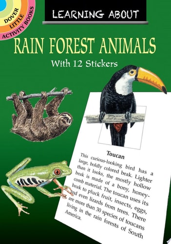 Learning About Rain Forest Animals by Sy Barlowe