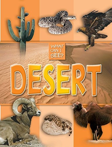 Desert by unknown author