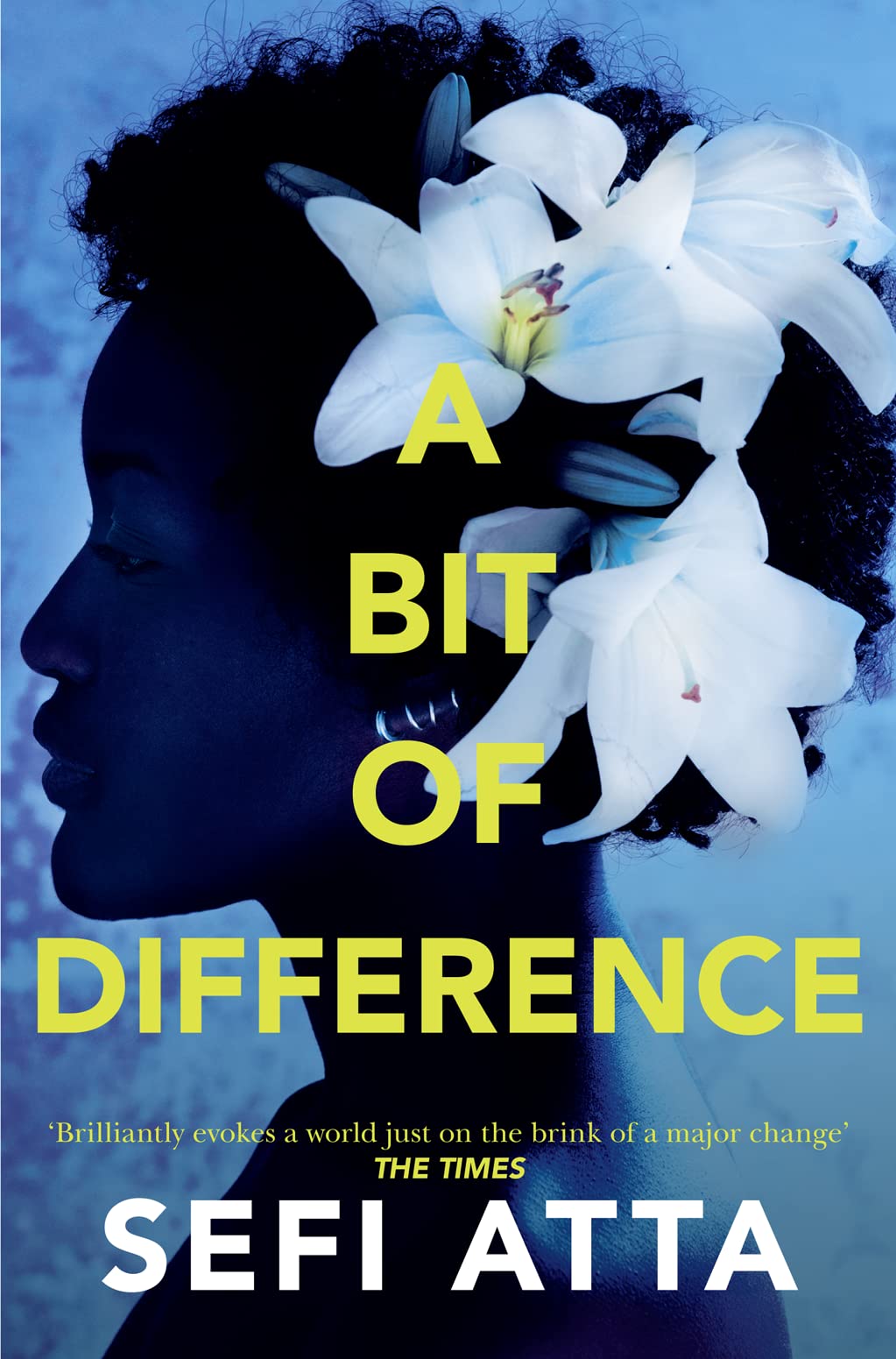 BIT OF DIFFERENCE PB by Sefi Atta