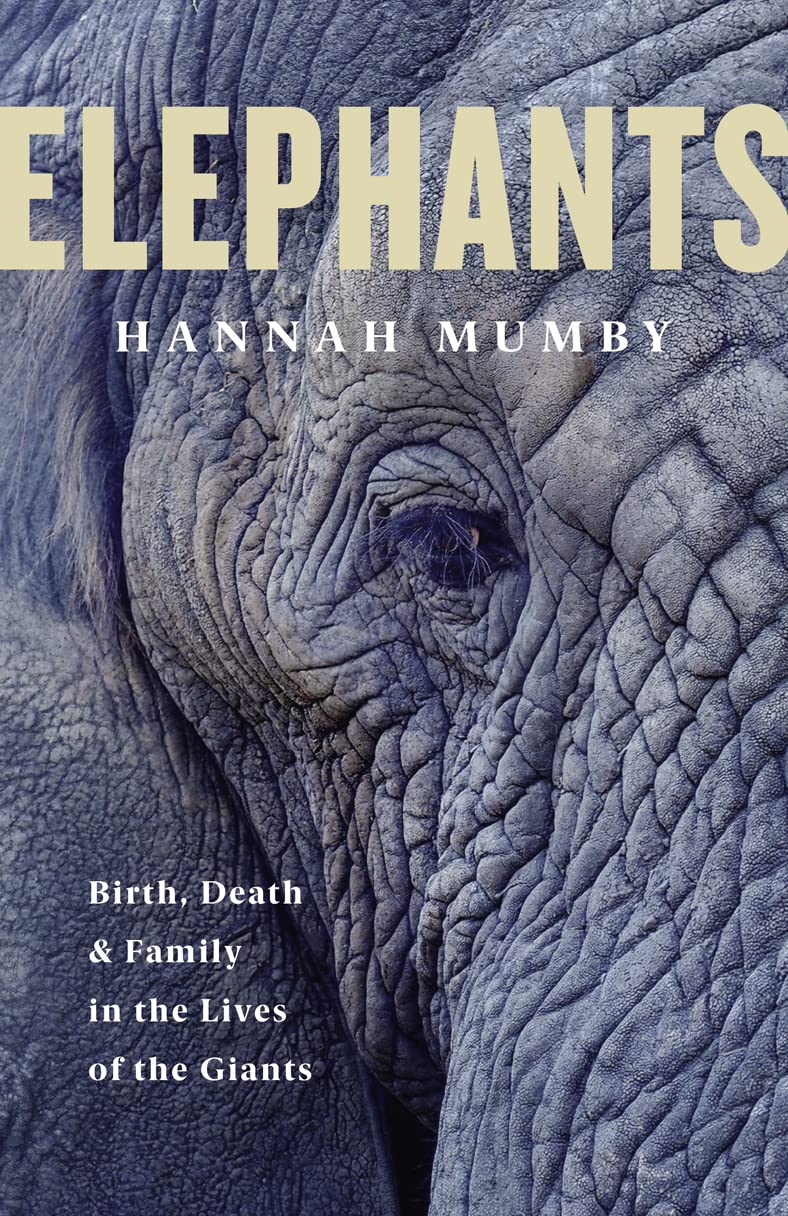 The Elephant in the Mirror by Dr Hannah Mumby