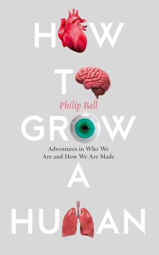 How to Grow a Human: Adventures in Who We Are and How We Are Made by Philip Ball