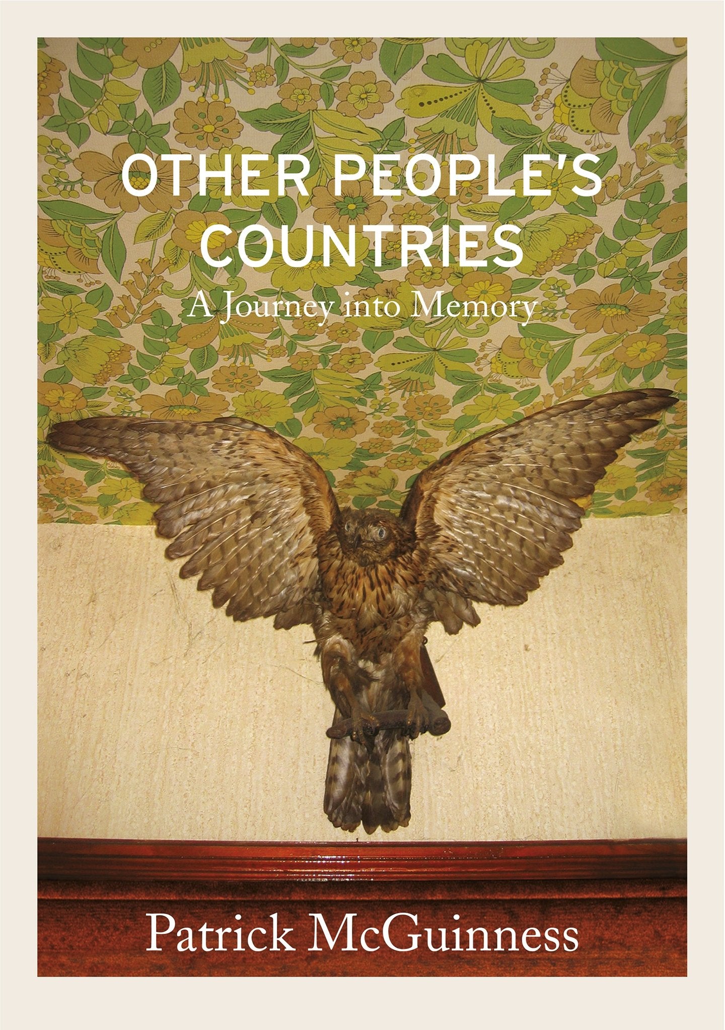 Other people's countries:a journey into memory by Patrick McGUINNESS
