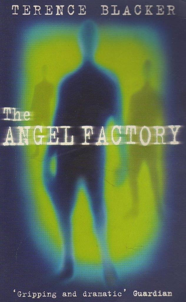 The Angel Factory by Terence Blacker